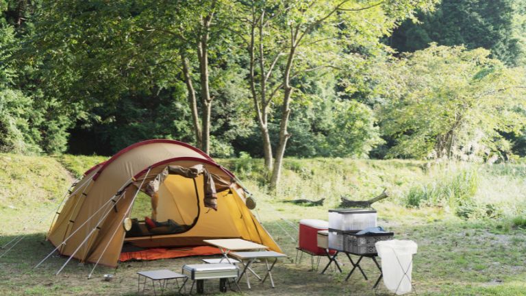 夏のキャンプ場でのテント設置画像