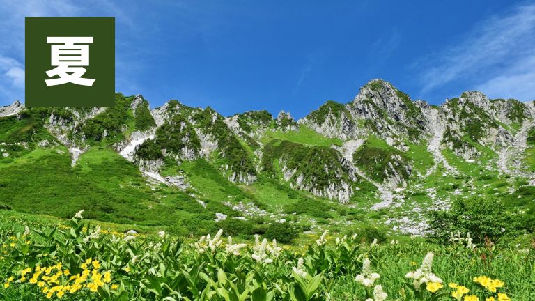 夏の千畳敷カール