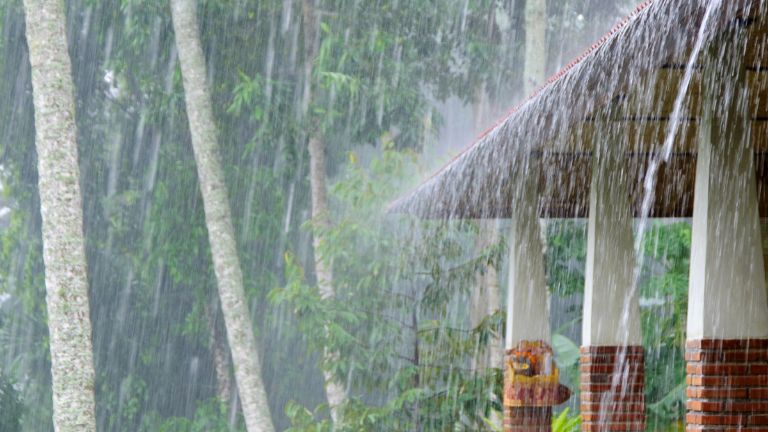 サイトに雨が降っているイメージ画像