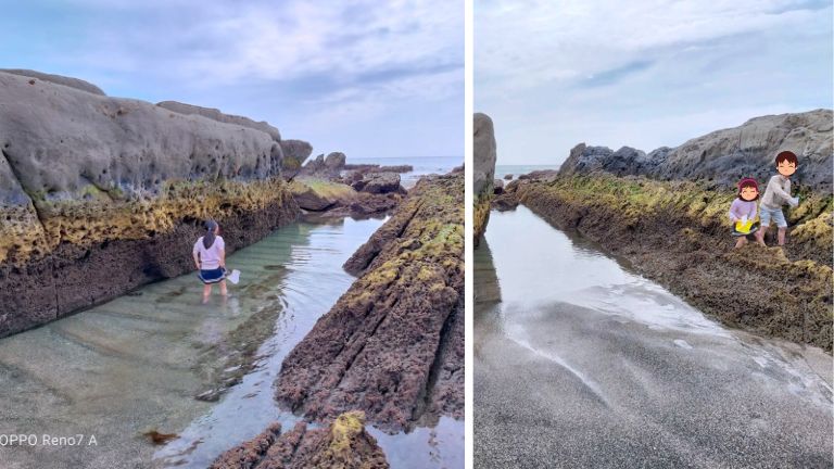 布良海岸の磯遊びの様子