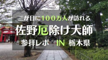 三が日に100万人が訪れる佐野厄除け大師参拝レポIN栃木県