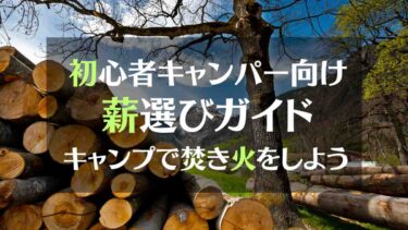 初心者キャンパーのための最適な薪選びガイド　キャンプで焚き火をしよう