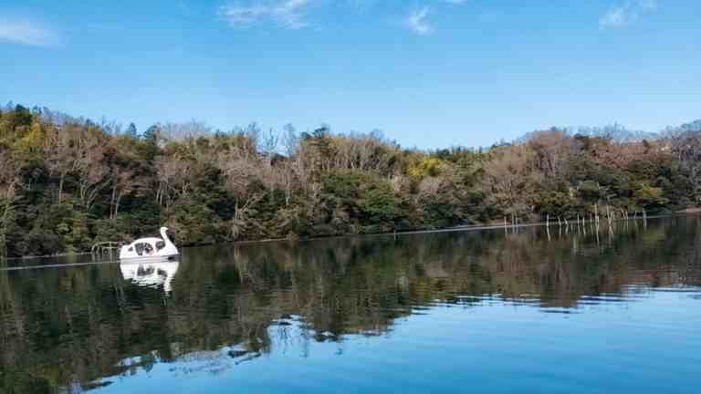 スワンボートで一碧湖を遊覧