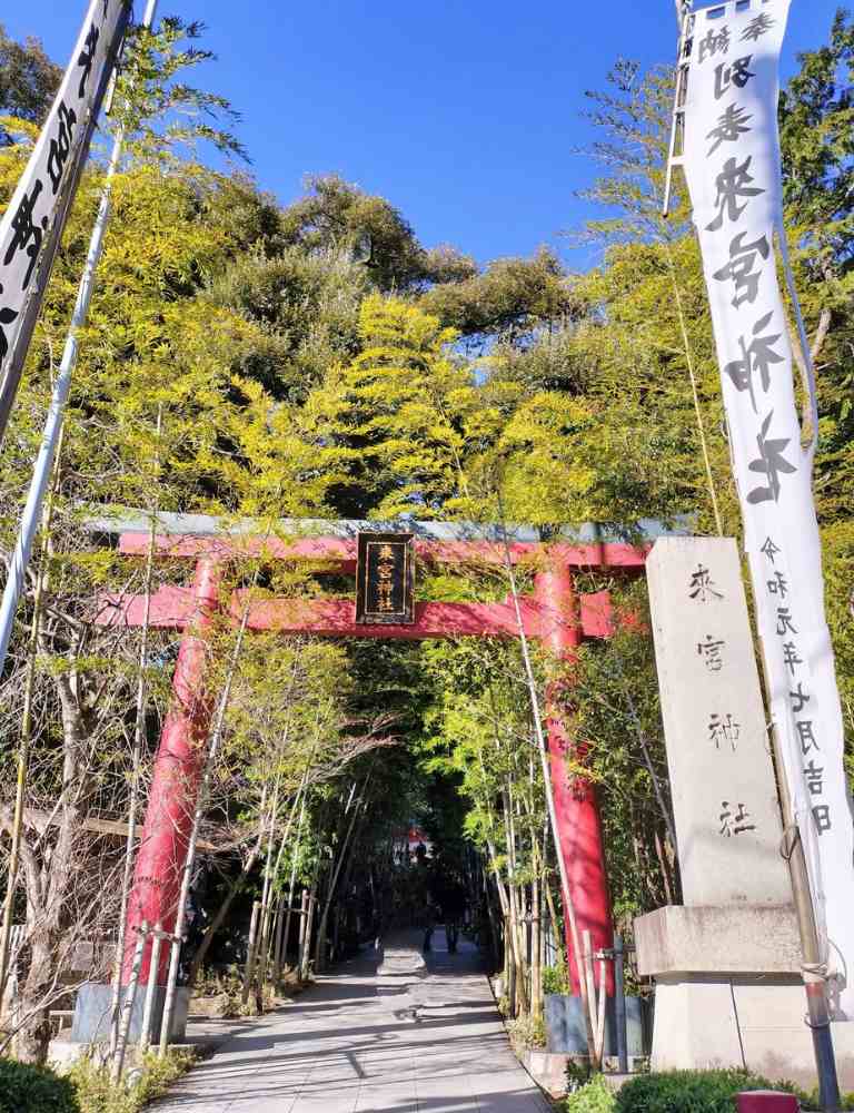 来宮神社の大鳥居