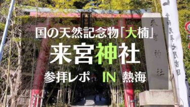 待ち受けにするとご利益あり！熱海のパワースポット来宮神社の大楠は必見です