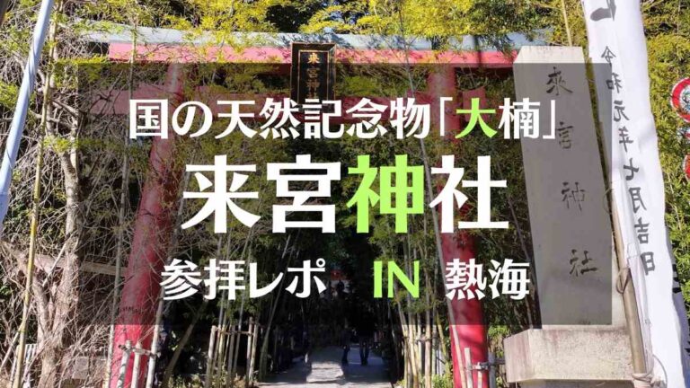 国の天然記念物「大楠」来宮神社参拝レポ　IN熱海