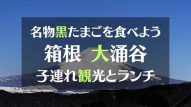 名物黒たまごを食べよう　箱根大涌谷　子連れ観光とランチ