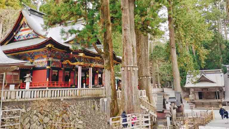 三峯神社の御神木