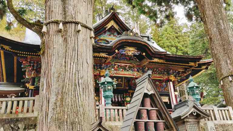 三峯神社の本殿と御神木