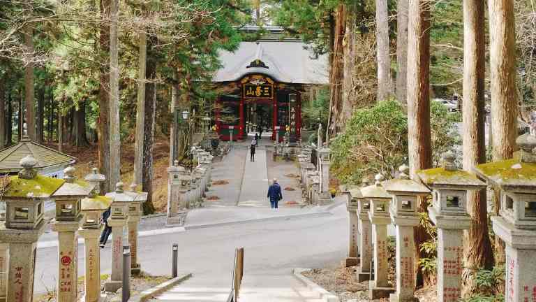 遥拝殿から随神門を見下ろした風景