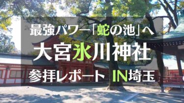 日本一長い参道がある武蔵一宮 氷川神社 参拝レポート　 最強開運スポット 蛇の池へ