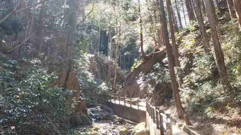 宿谷の滝までの散策路