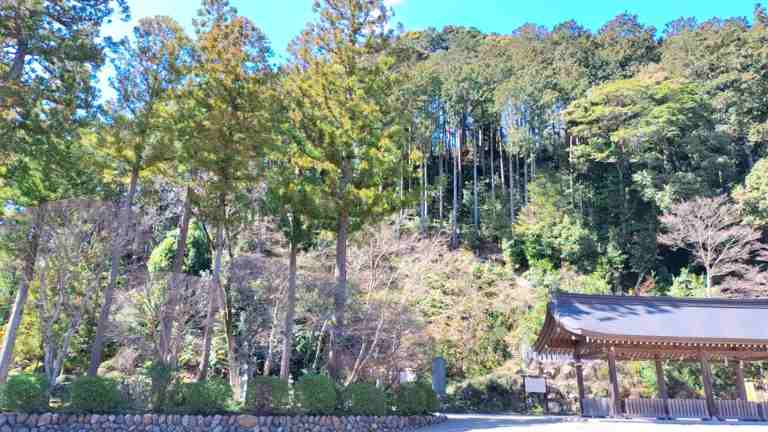 水天宮がある山の様子