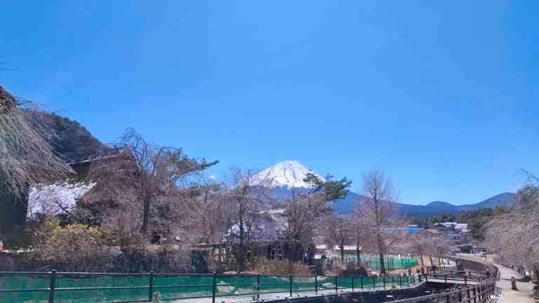 西湖いやしの里根場から見た富士山