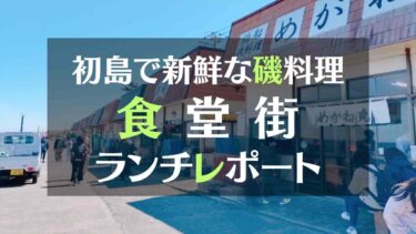 初島食堂街で新鮮な磯料理を食べよう！ 食堂街「木村屋」さんで絶品ランチレポート