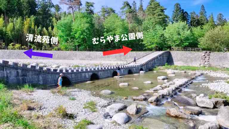 川を挟んであるむらやま公園と清流苑