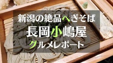 新潟の絶品へぎそば　長岡小嶋屋グルメレポート