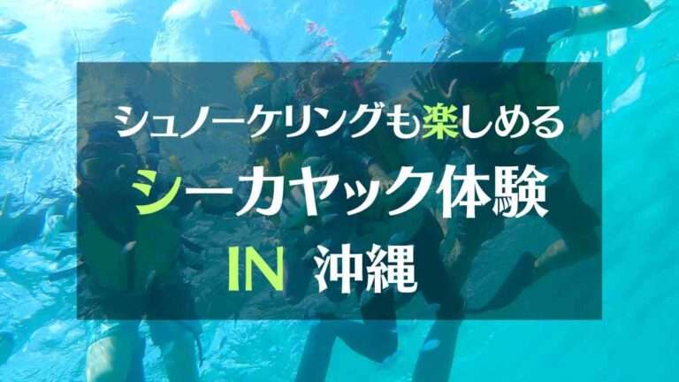 シュノーケリングも楽しめるシーカヤック体験IN沖縄