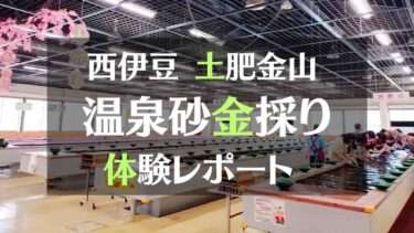 西伊豆土肥金山温泉砂金採り体験レポート