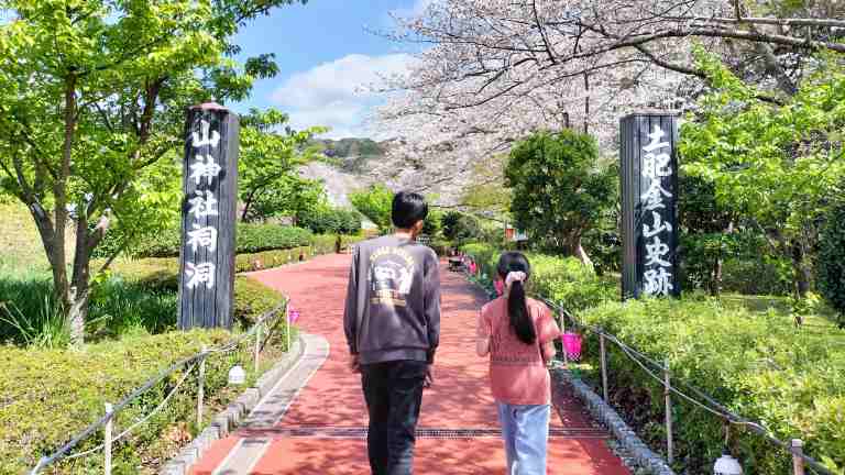 土肥金山内の桜