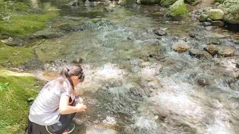 川の水を触っている様子